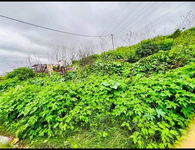 LAND FOR SALE IN KWAMASHU